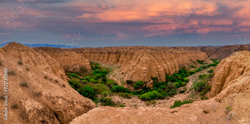 Charyn Canyon, Kazakhstan, Almaty. Moon Canyon. Large panorama of sand mountains with geological layers, large bright green bushes at the bottom. Small Grand Canyon. Canyon  of a large horseshoe