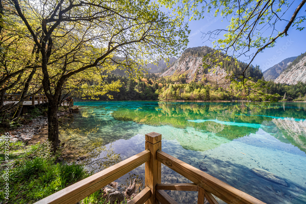 Fototapeta premium Five Flower Lake in Jiuzhai Valley National Park, Sichuan, China