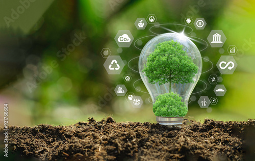 A light bulb on green moss has icons about sustainability around it, eco-friendly practices, global impact. Renewable energy. Green Business Sustainable Innovation and Green technology concept. photo