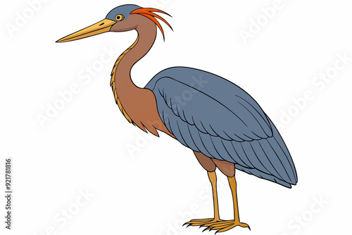 Goliath Heron Standing Against White Background Vector Illustration