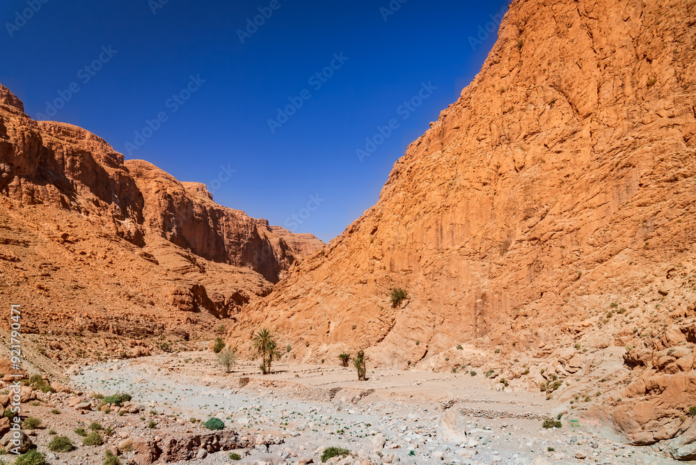 Todgha Gorge, Morocco. Limestone river canyons, or wadi, in the eastern part of the High Atlas Mountains.