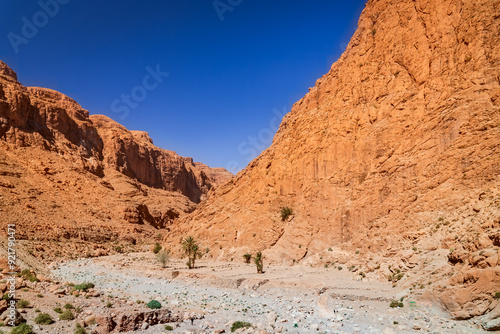 Obraz na płótnie Todgha Gorge, Morocco. Limestone river canyons, or wadi, in the eastern part of the High Atlas Mountains. w salonie