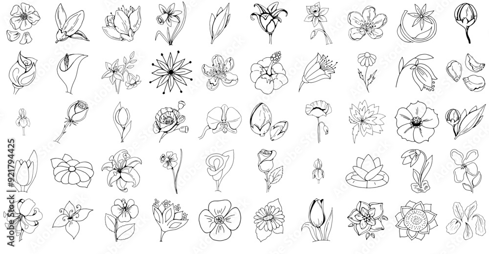 Set Of Linear Flowers Icons Web Header Banner Design Containing Flower,Branch,Leaf,Blossom,Plant Vector Icon Set Linear Pictogram Pack Set Of Linear Flowers Icons Web Header Banner Design Containing Flower,Branch,Leaf,Blossom,Plant Vector Icon Set Linear Pictogram Pack