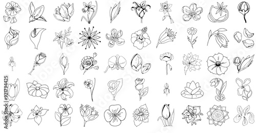 Set Of Linear Flowers Icons Web Header Banner Design Containing Flower,Branch,Leaf,Blossom,Plant Vector Icon Set Linear Pictogram Pack