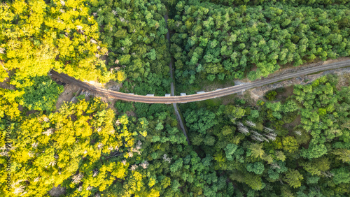 An aerial view reveals the Zampach stone railway bridge curving gracefully over a lush green forest, blending with the vibrant foliage of Czechia during a sunny day. photo