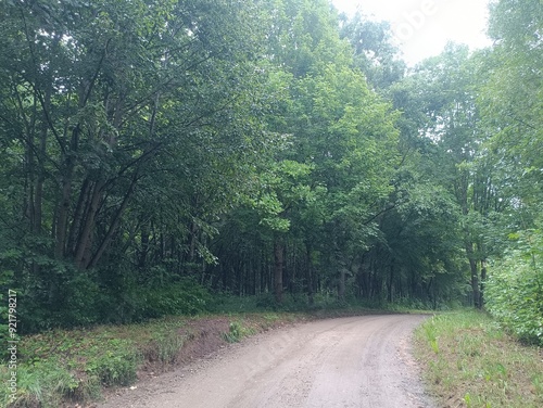 Talsa park during cloudy summer day. Oak and birch tree woodland. Cloudy day with white clouds in sky. Bushes and small are growing in woods. Nature. Talsos parkas. photo