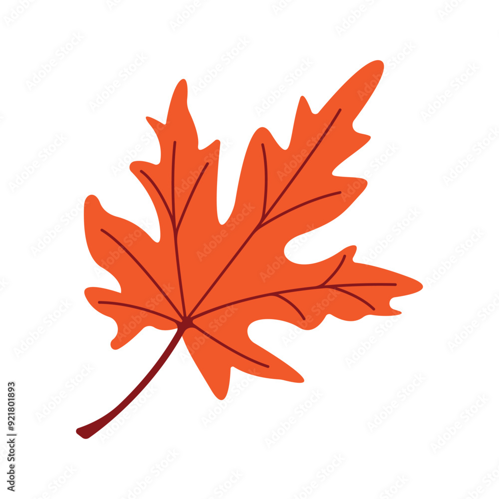 Obraz premium Autumn oak leaf