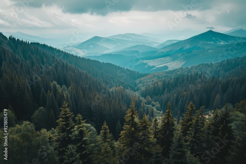 Top view Beautiful mountain landscape with dark green pine tree forest background