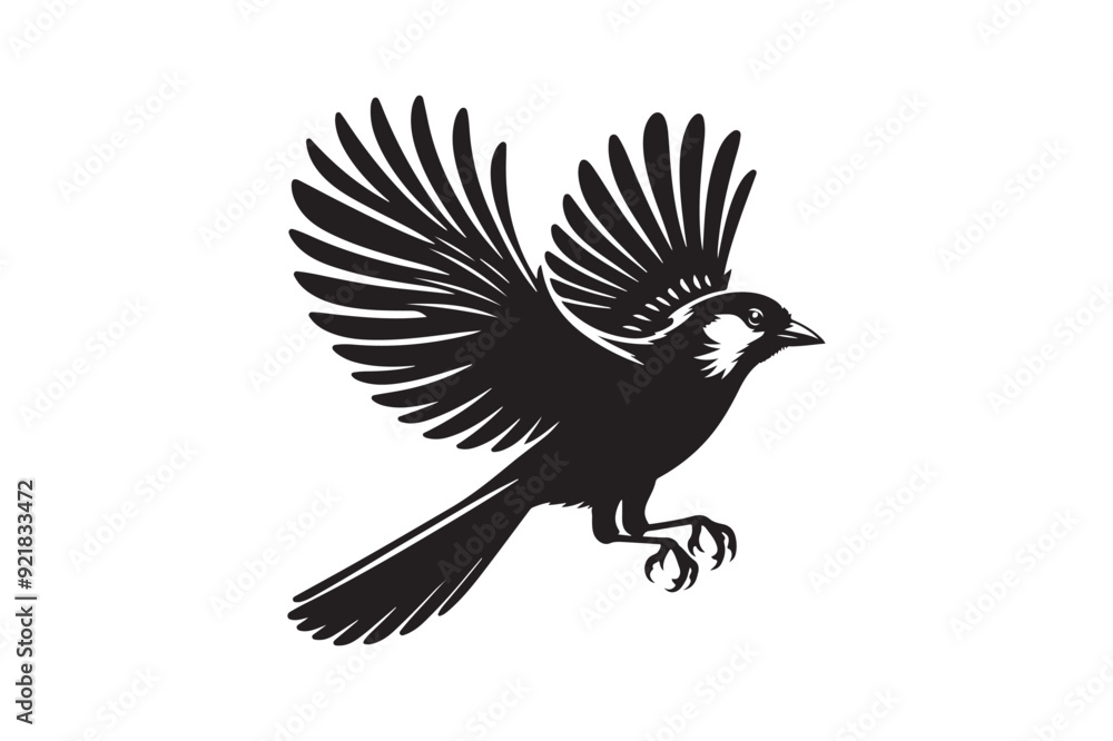 Obraz premium Jay bird silhouette vector illustration