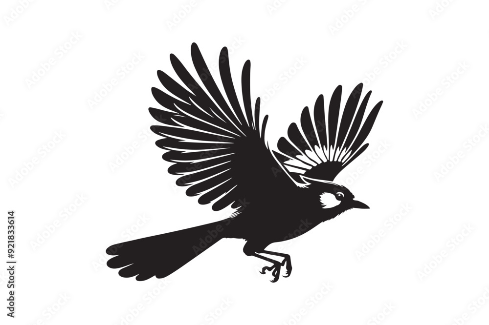 Obraz premium Jay bird silhouette vector illustration