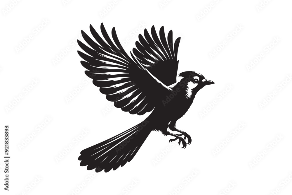Naklejka premium Jay bird silhouette vector illustration