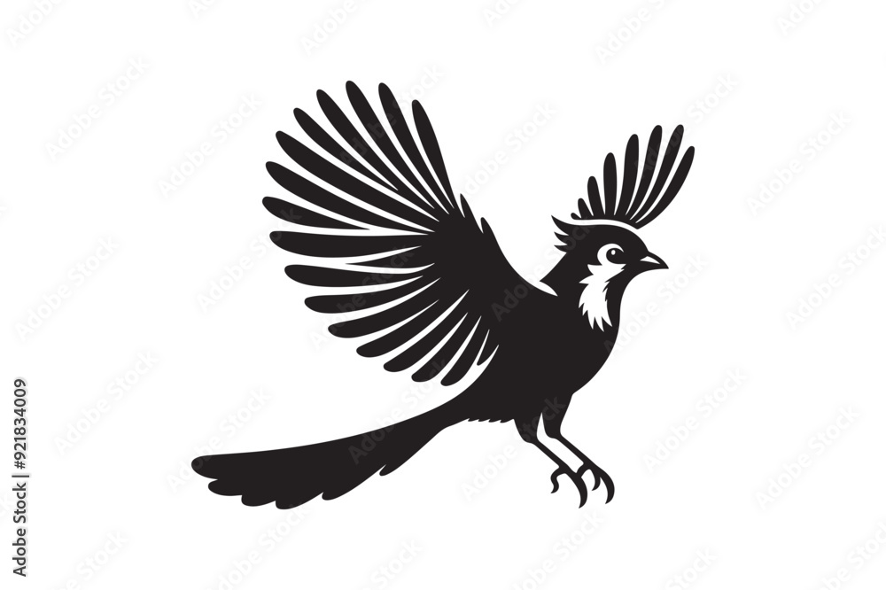 Fototapeta premium Jay bird silhouette vector illustration