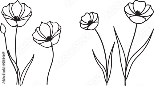 illustration of tulips