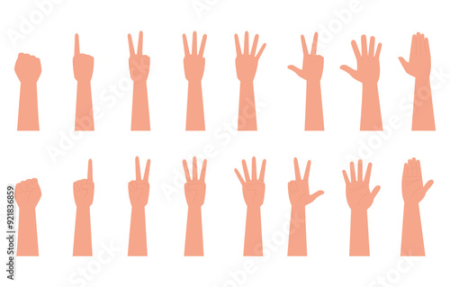 Hands poses. SET of hand gestures isolated over the white background. Various gestures of hands. Hands facing down and hands facing up. Vector illustration flat design style