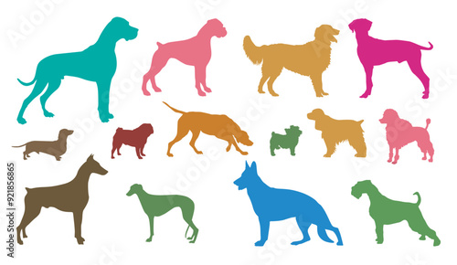 Diverse Hunderassen Freisteller Illustration.eps