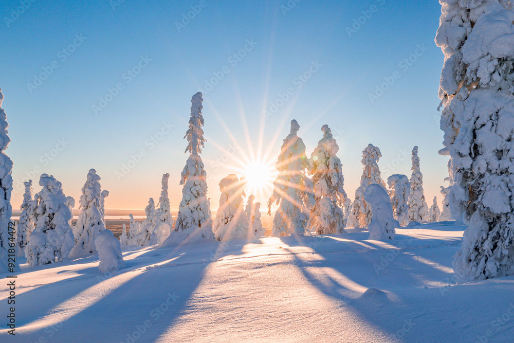 winter landscape with snow