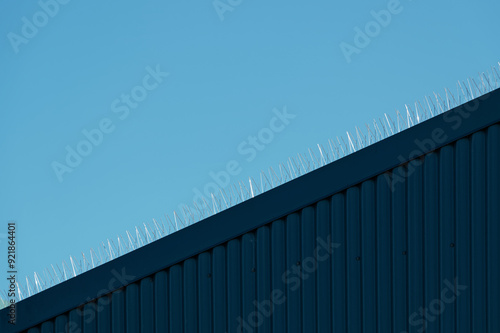 Bird spikes along the edge of a roof