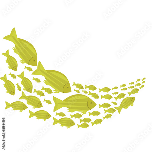 School Of Fish