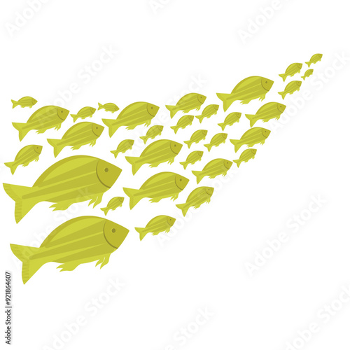 School Of Fish