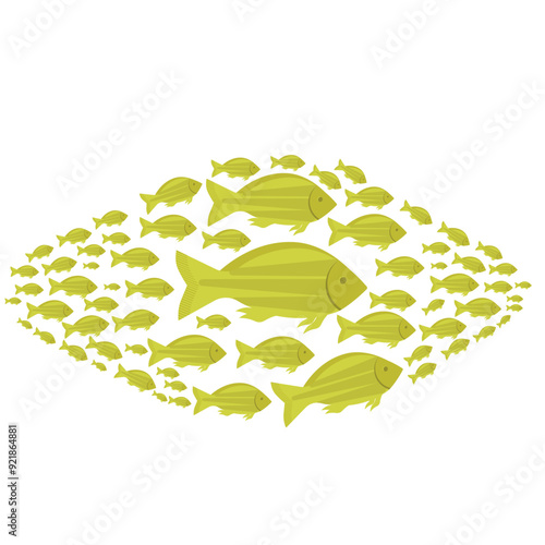 School Of Fish
