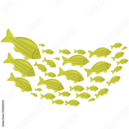 School Of Fish