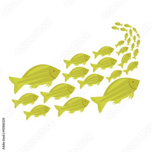 School Of Fish