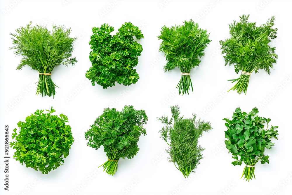 hyperrealistic photo of set of bunches of different greenery such as parsley, dill, and rosemary on 100% white background
hyperrealistic photo of set of bunches of different greenery such as parsley, dill, and rosemary on 100% white background