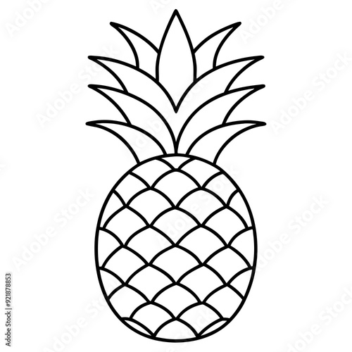 illustration of pineapple