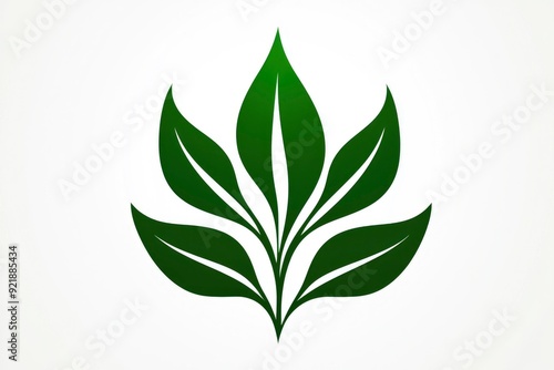 Green Leaf Floral Design