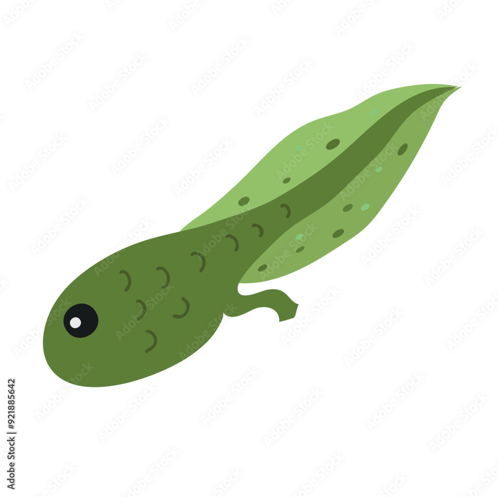 Obraz premium Tadpole icon clipart avatar logtotype isolated vector illustration