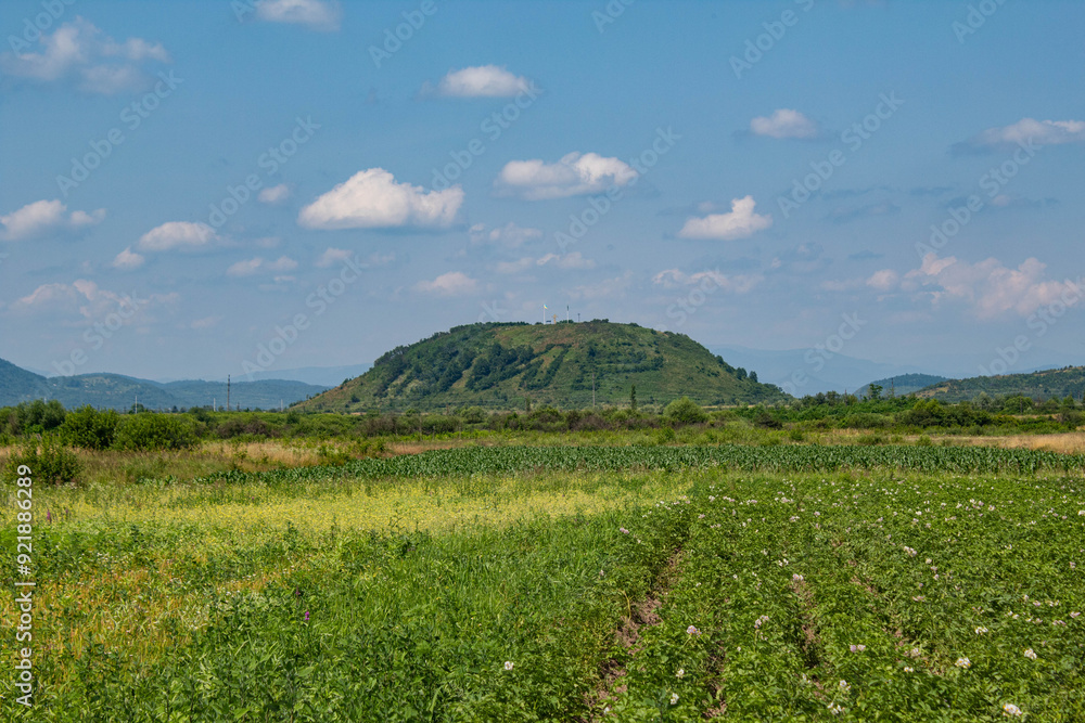 Fototapeta premium rice field in the mountains