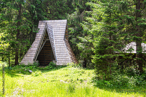 wooden bridge in the forest