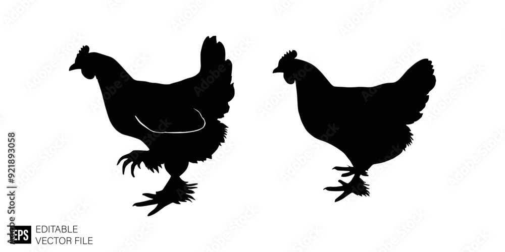chicken Black and White Vector Silhouette Illustrations Clip Art Graphic Design Elements chicken Black and White Vector Silhouette Illustrations Clip Art Graphic Design Elements