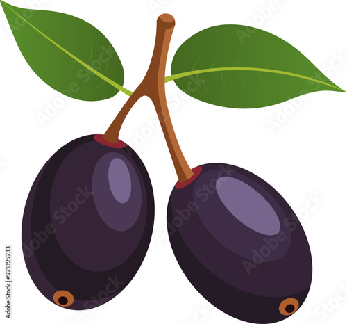 Vector illustration, Jamun plum or Javanese plum, isolated on a white background, exotic fruit as a medicinal herb. Book template, jamun fruit for kids worksheet printable photo