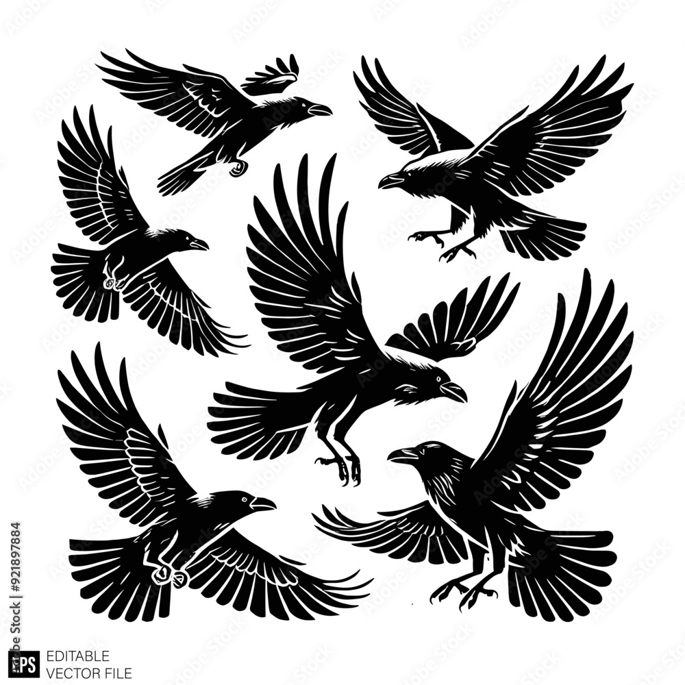 Obraz premium set of flying raven vector illustration black and white silhouette graphic design template