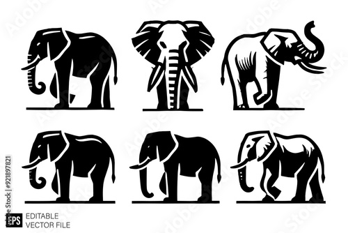 set of elephant vector illustration black and white silhouette graphic design template