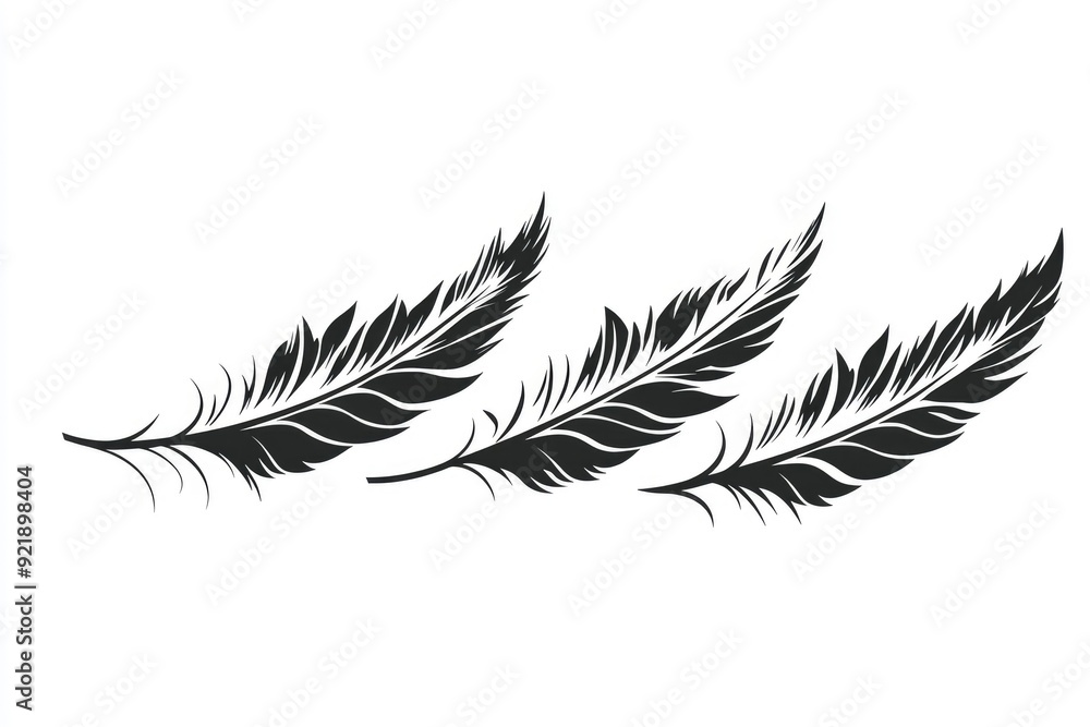 Obraz premium Three Black Feather Silhouettes on White Background