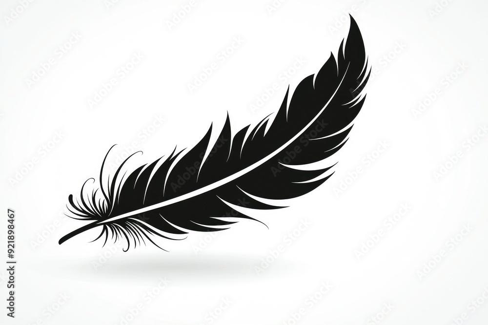 Obraz premium Black Feather Silhouette Illustration