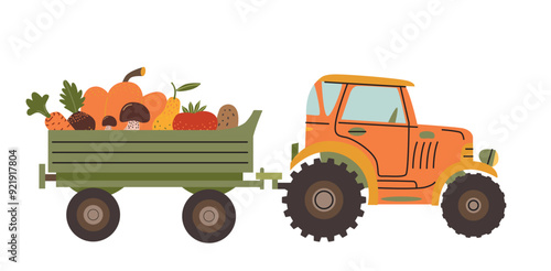 Tractor with trailer full of vegetables. Harvesting Illustration. Vector flat illustration.