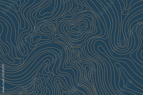 Abstract luxury topographic map background. Gold topographic lines on a dark blue background