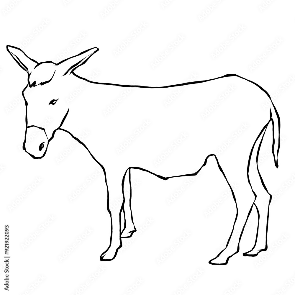 Fototapeta premium illustration of a donkey