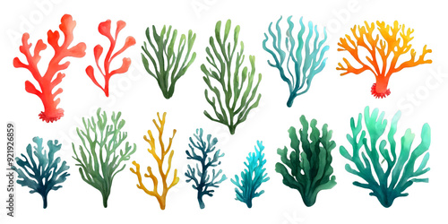 A vibrant collection of 13 watercolor-style seaweed and coral illustrations against transparent background.