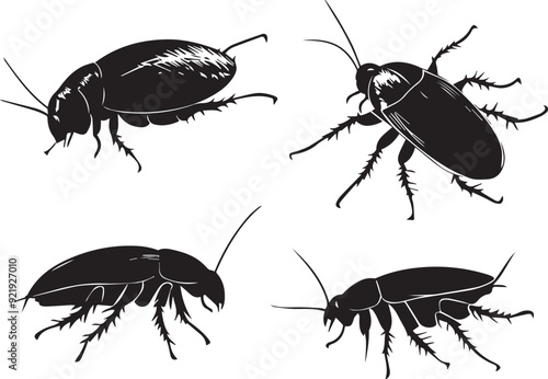 A set of insects. Hand drawn vector illustration	
