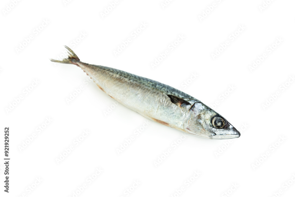 Mackerel fish isolated on white background, Seafood, Saba fish Mackerel fish isolated on white background, Seafood, Saba fish