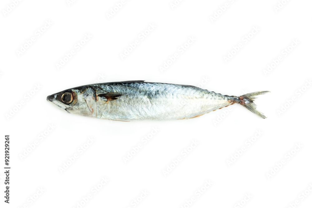 Mackerel fish isolated on white background, Seafood, Saba fish Mackerel fish isolated on white background, Seafood, Saba fish