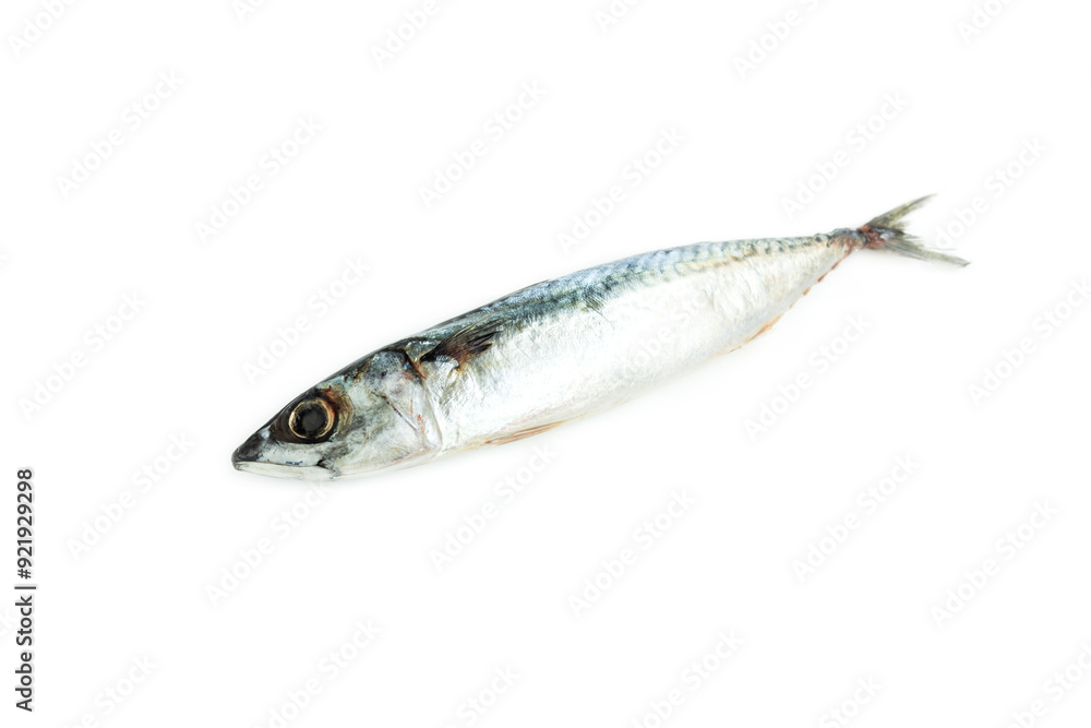 Mackerel fish isolated on white background, Seafood, Saba fish Mackerel fish isolated on white background, Seafood, Saba fish