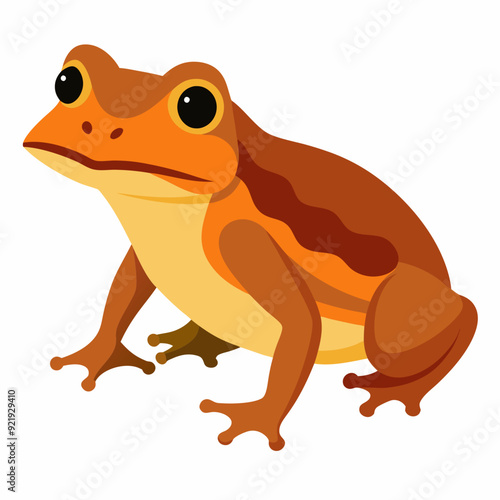Common Coqui frog vector artwork