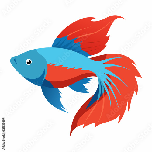 Marine Betta fish vector artwork