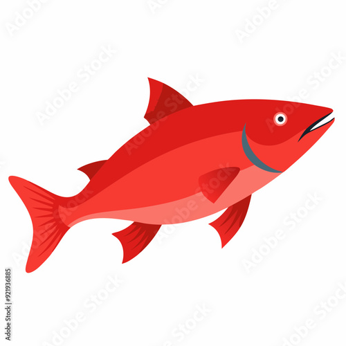 Wild Alaskan King Salmon vector artwork