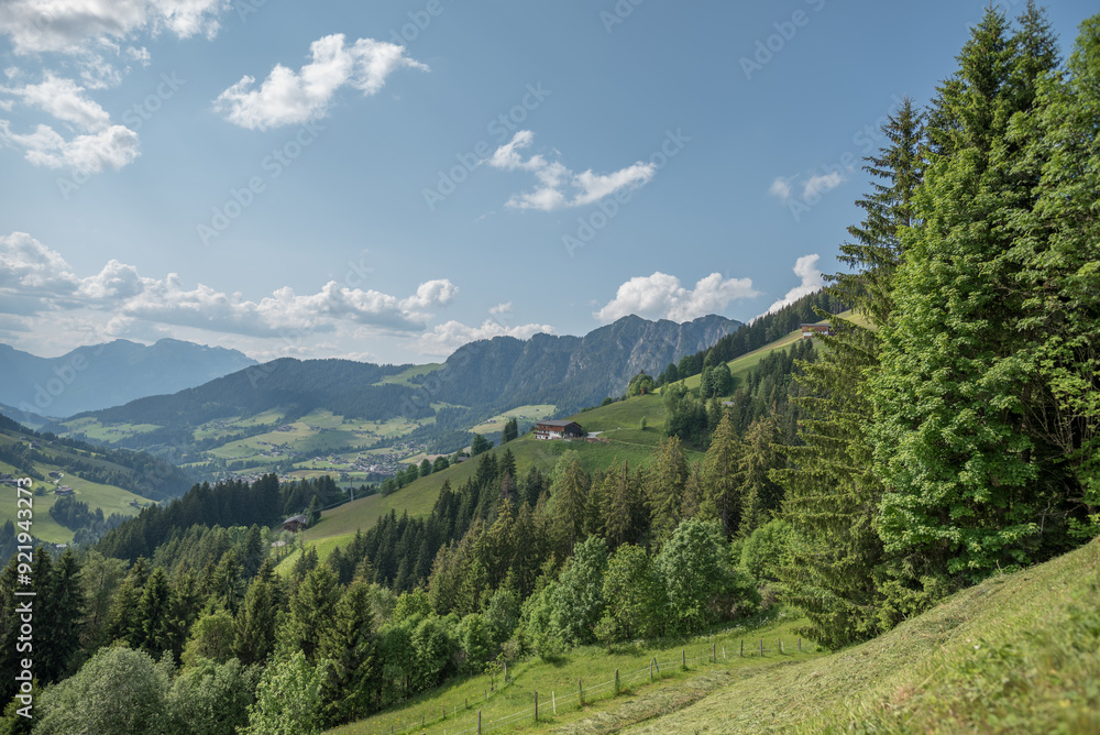 Fototapeta premium Landschaft bei Alpbach, Tirol